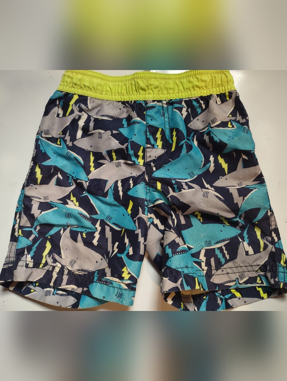 1989 Place Shark Swim Shorts